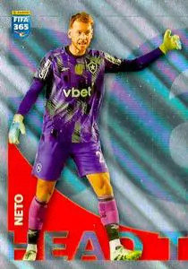Neto #249