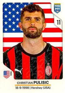 Christian Pulisic #293